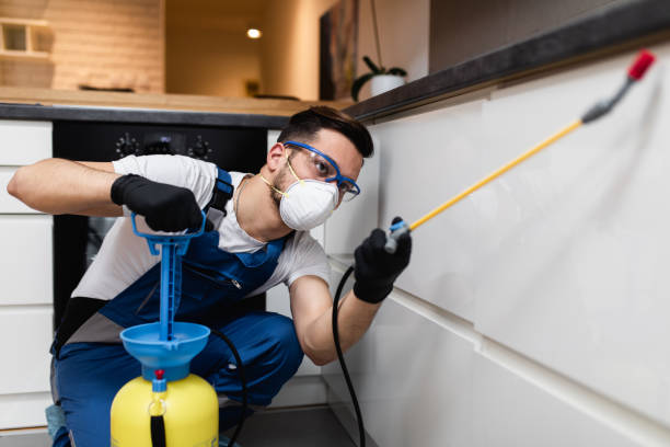 Best Pest Prevention Services  in Orland Park, IL