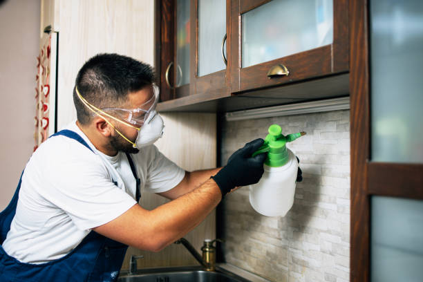 Best Commercial Pest Control Services  in Orland Park, IL