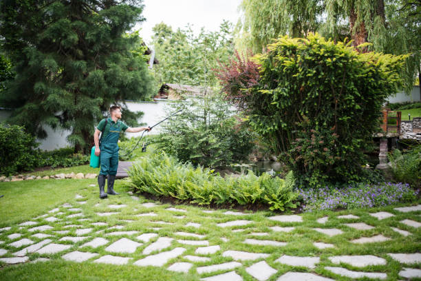 Trusted Orland Park, IL Pest Control Experts