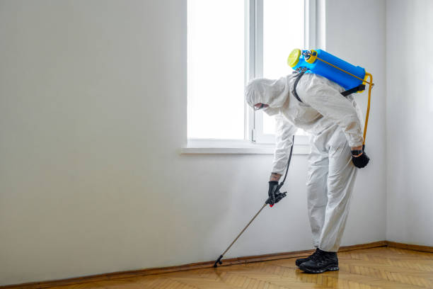 Best Pest Prevention Services  in Orland Park, IL