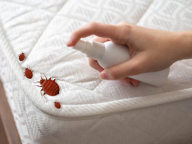 Best Best Pest Control Companies  in Orland Park, IL