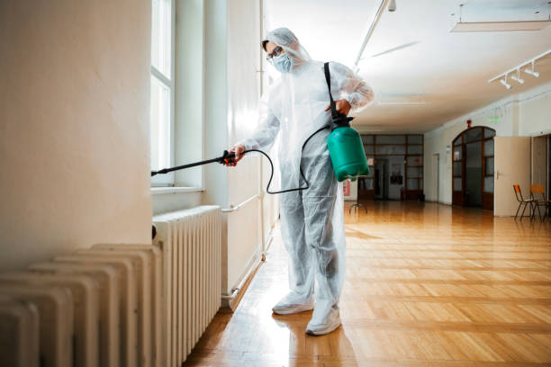 Best Termite Control Services  in Orland Park, IL